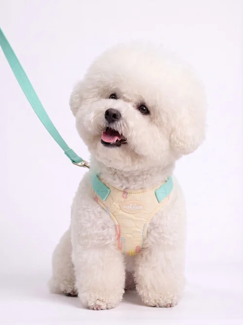Adjustable Pastel Pet Harness & Leash Set with Mini Backpack