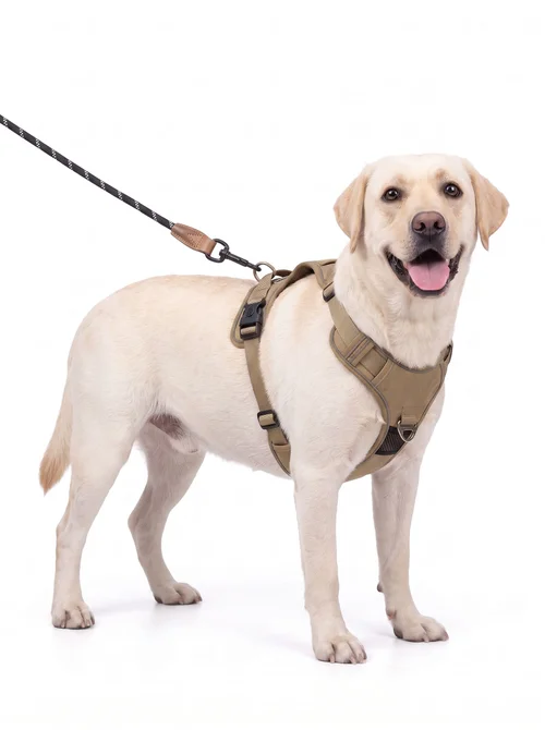 No-Pull Dog Harness with AirTag Holder & Reflective Leash