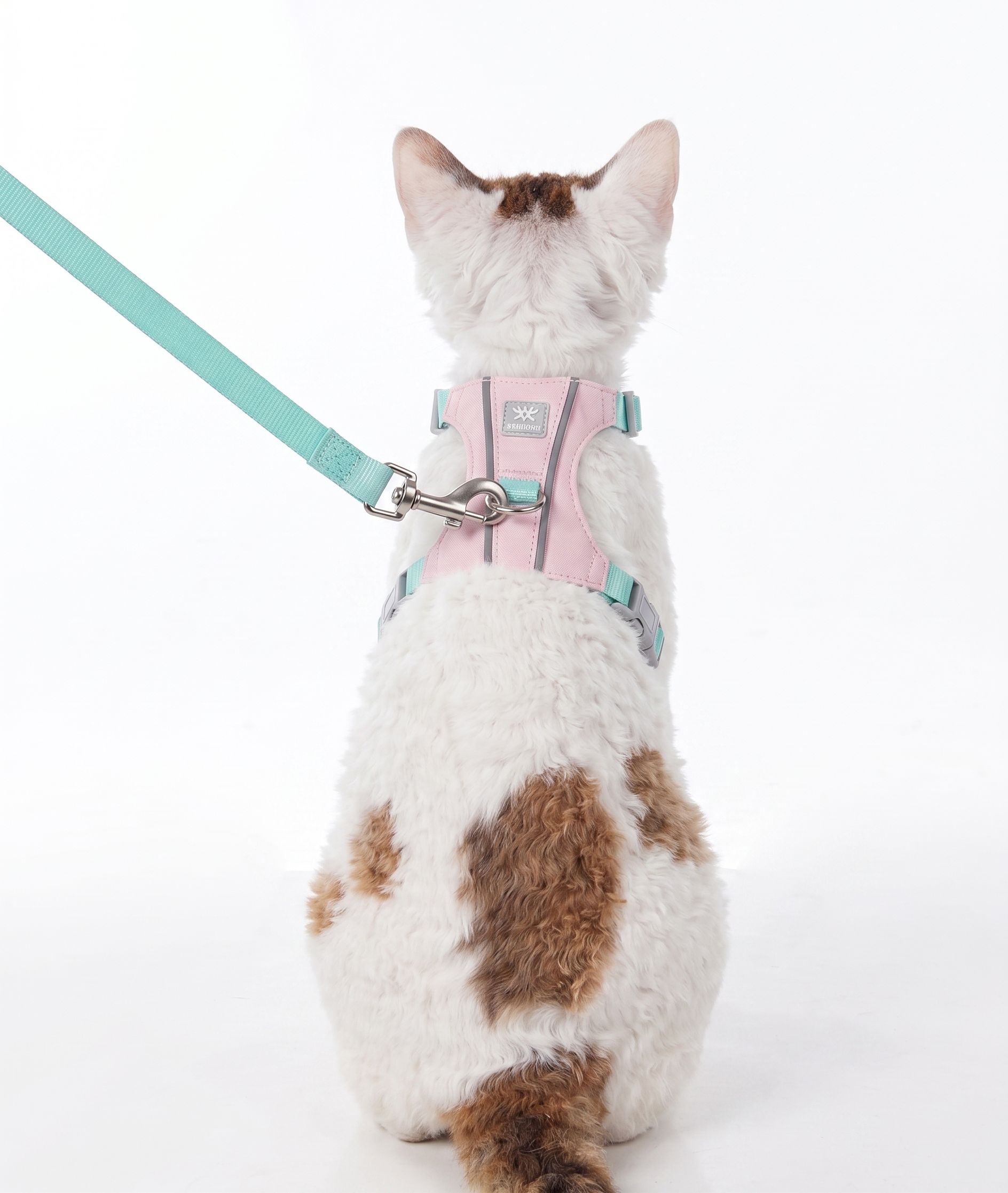 Harnais et laisse légers et réglables pour chat - Anti-fugue