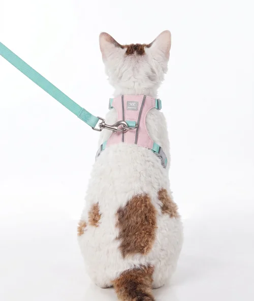 Harnais et laisse légers et réglables pour chat - Anti-fugue