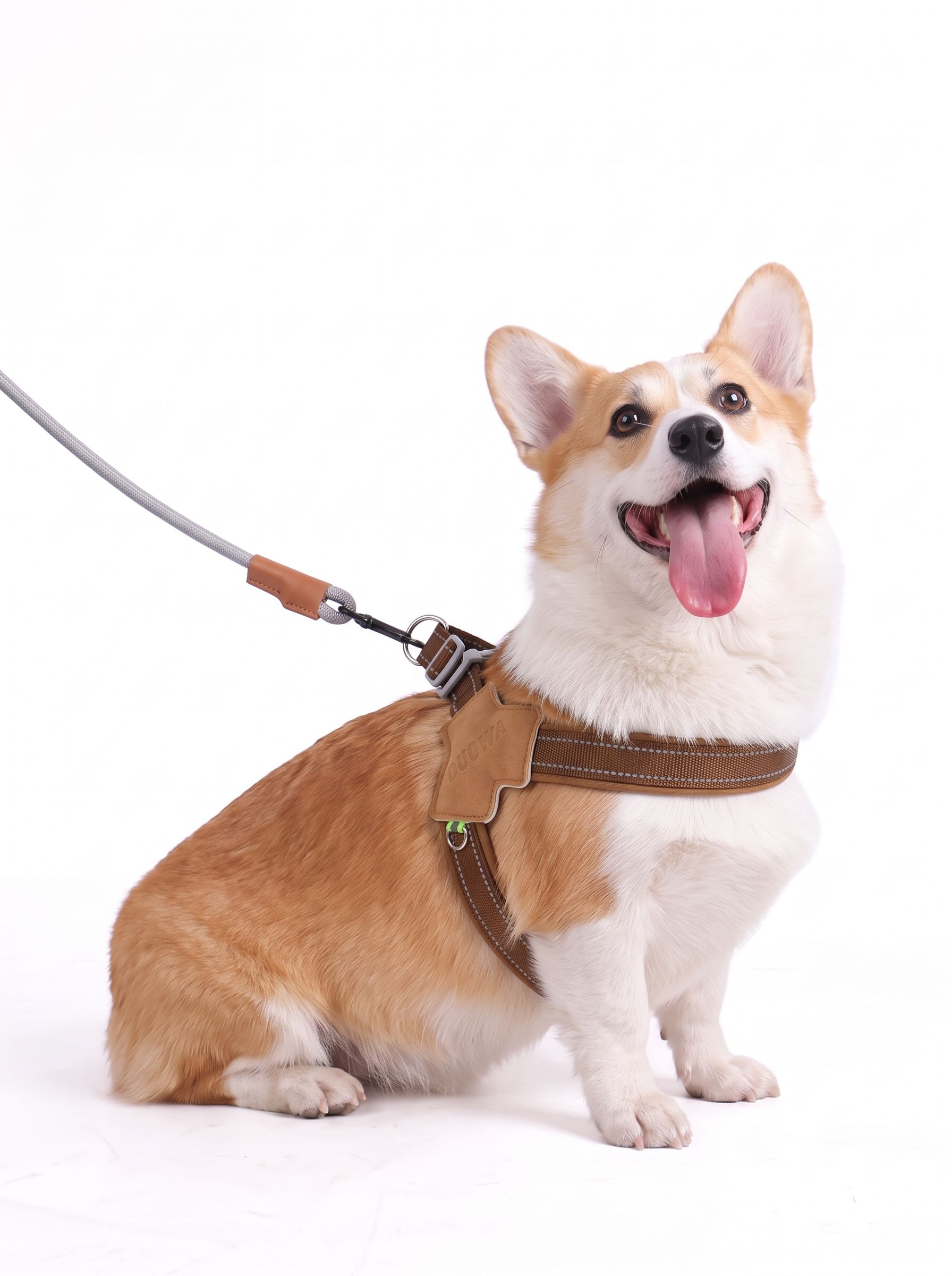 Comfort Y-Shape Reflective Dog Harness for Walking