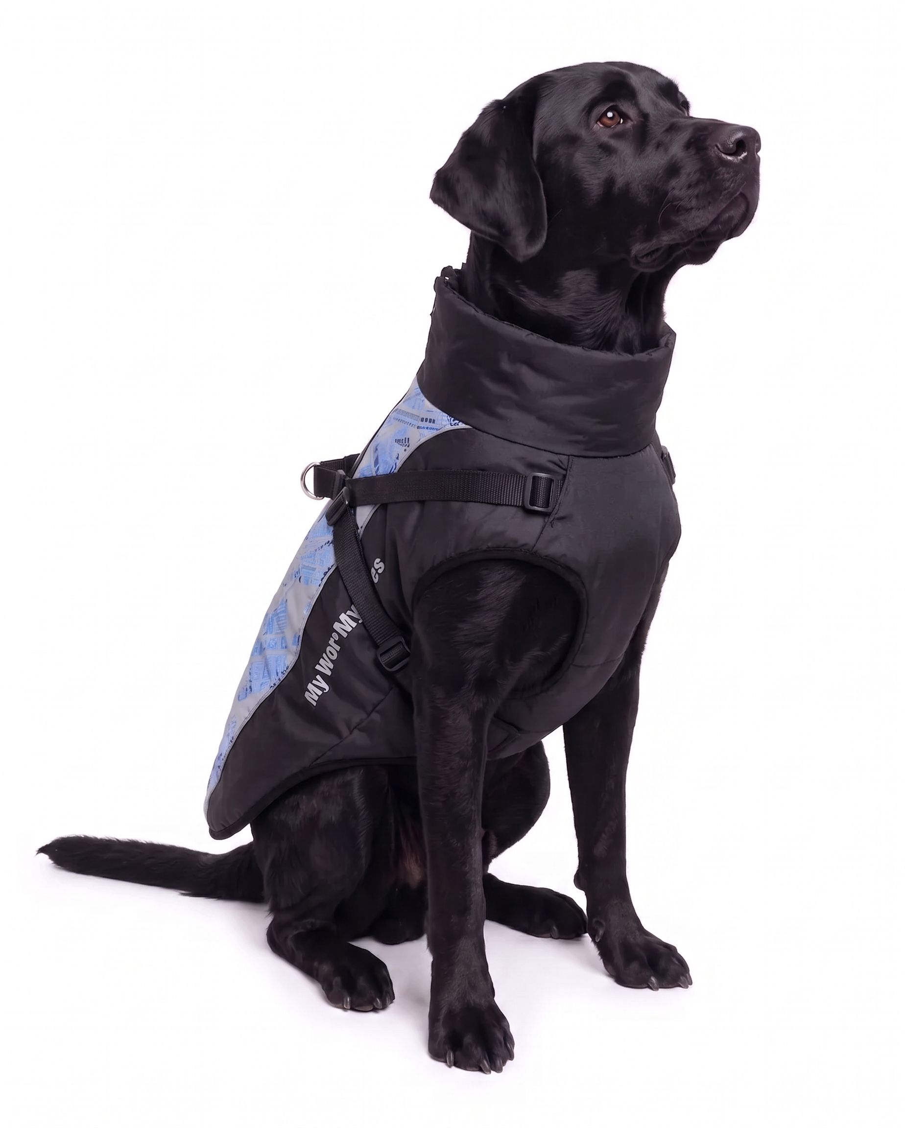 Waterproof Reflective Winter Dog Coat with Integrated Harness