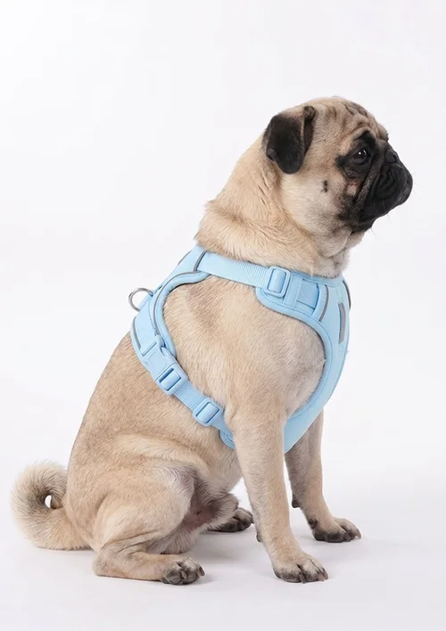No-Pull Reflective Dog Harness Vest - Adjustable & Comfortable