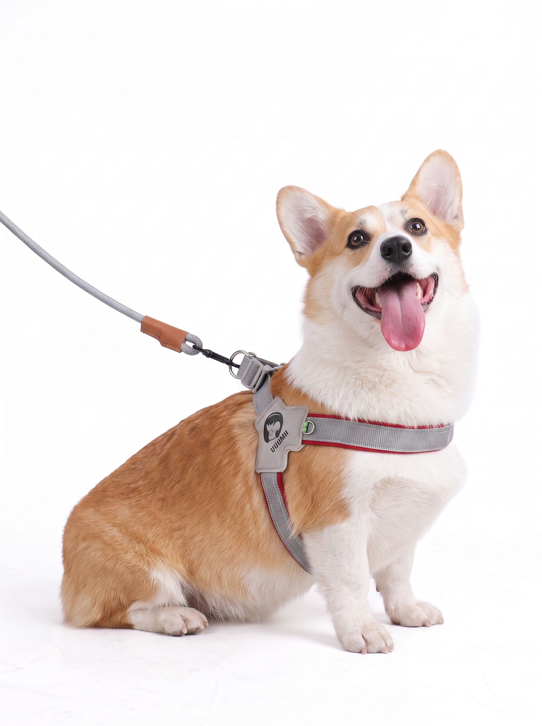 Reflective Y-Shape No-Pull Dog Harness for Small to Large Dogs