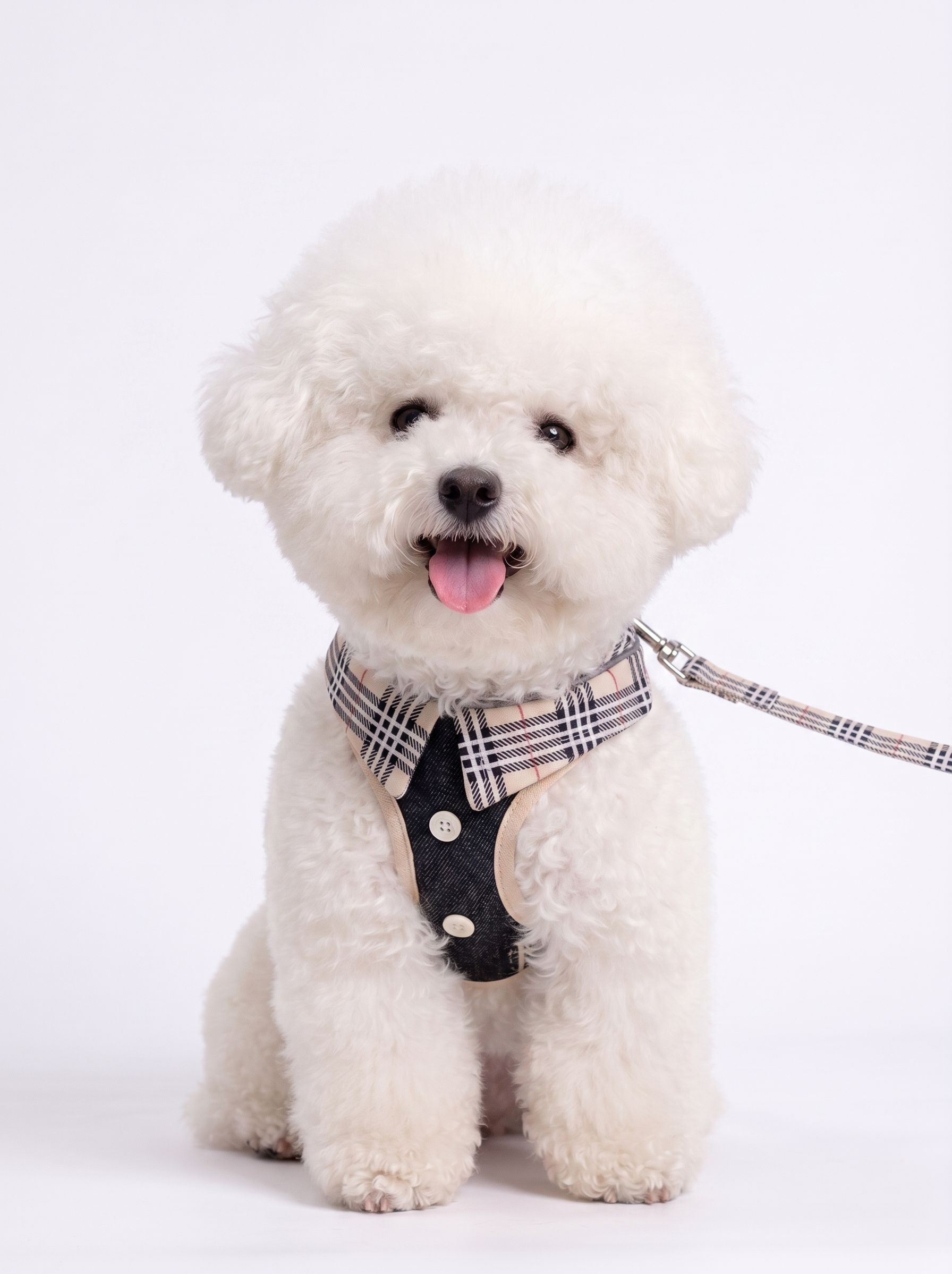 Stylish Plaid Dog Harness Leash & Bag Set - Reflective Pet Vest