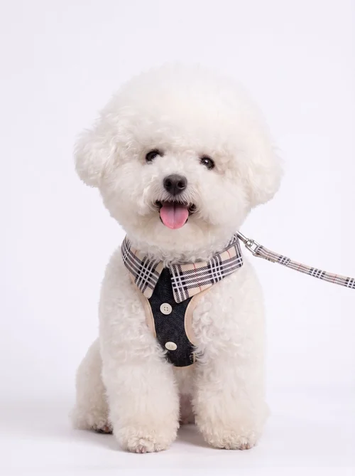 Stylish Plaid Dog Harness Leash & Bag Set - Reflective Pet Vest