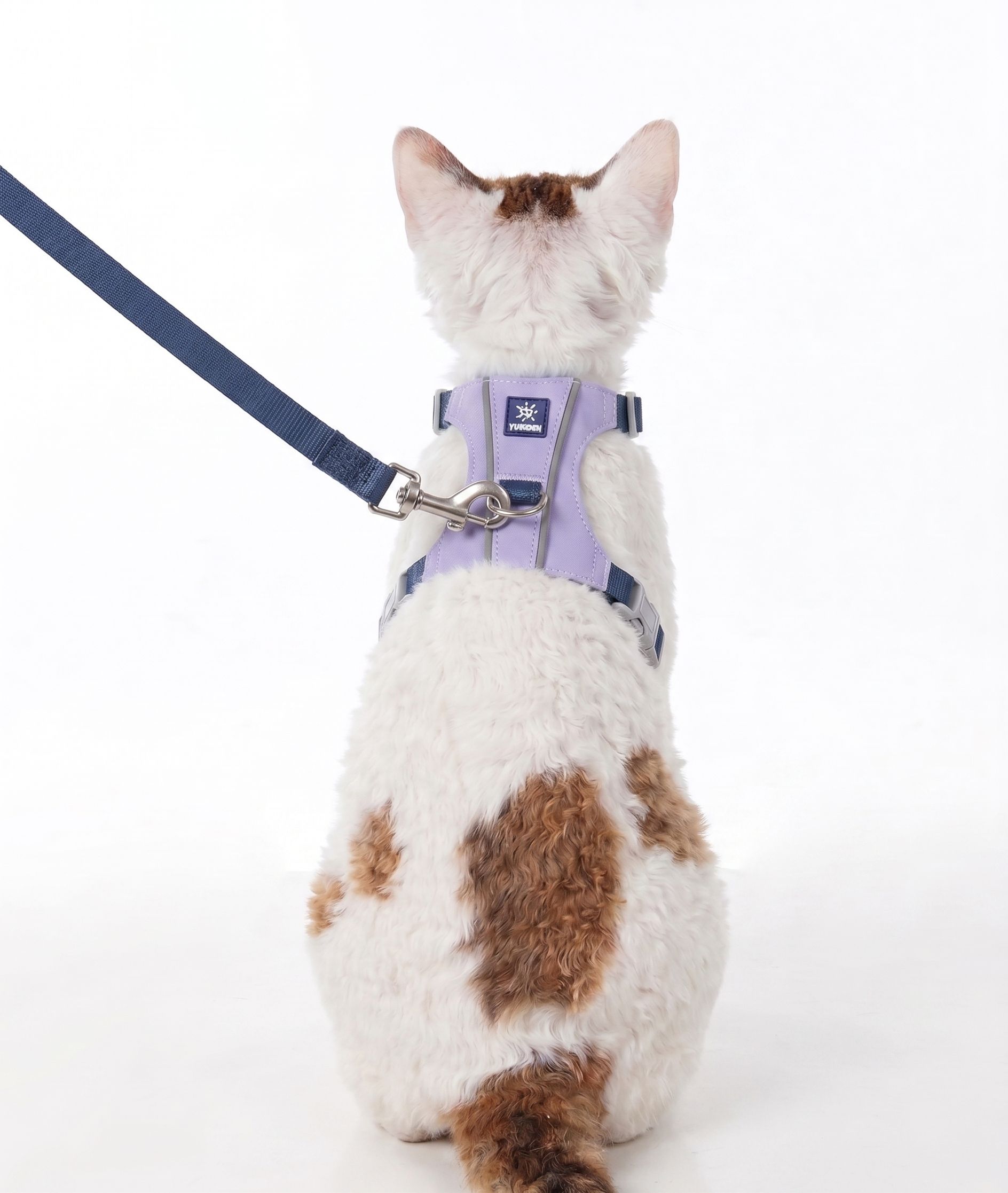 Lightweight Adjustable Cat Harness & Leash Set - Escape Proof