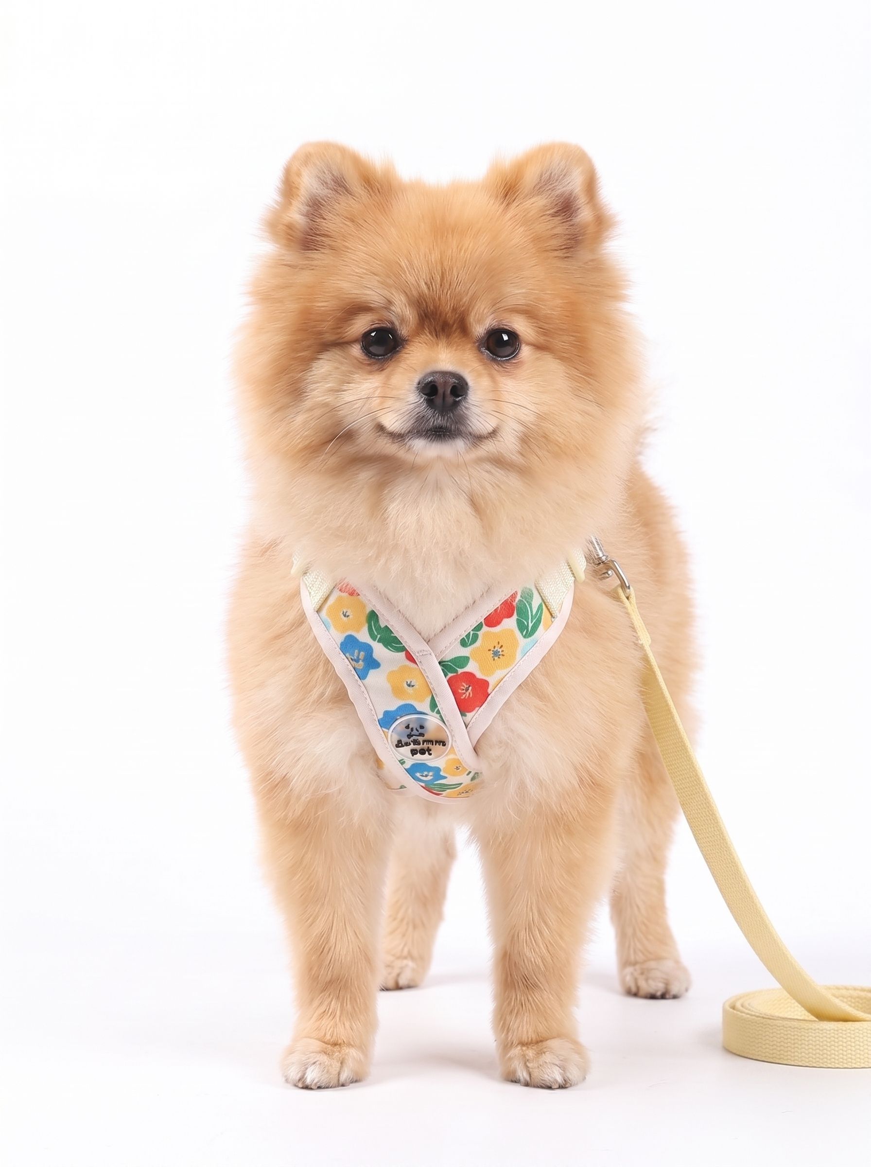 Floral X-Design Pet Floral Harness & Leash Set - Adjustable & Breathable