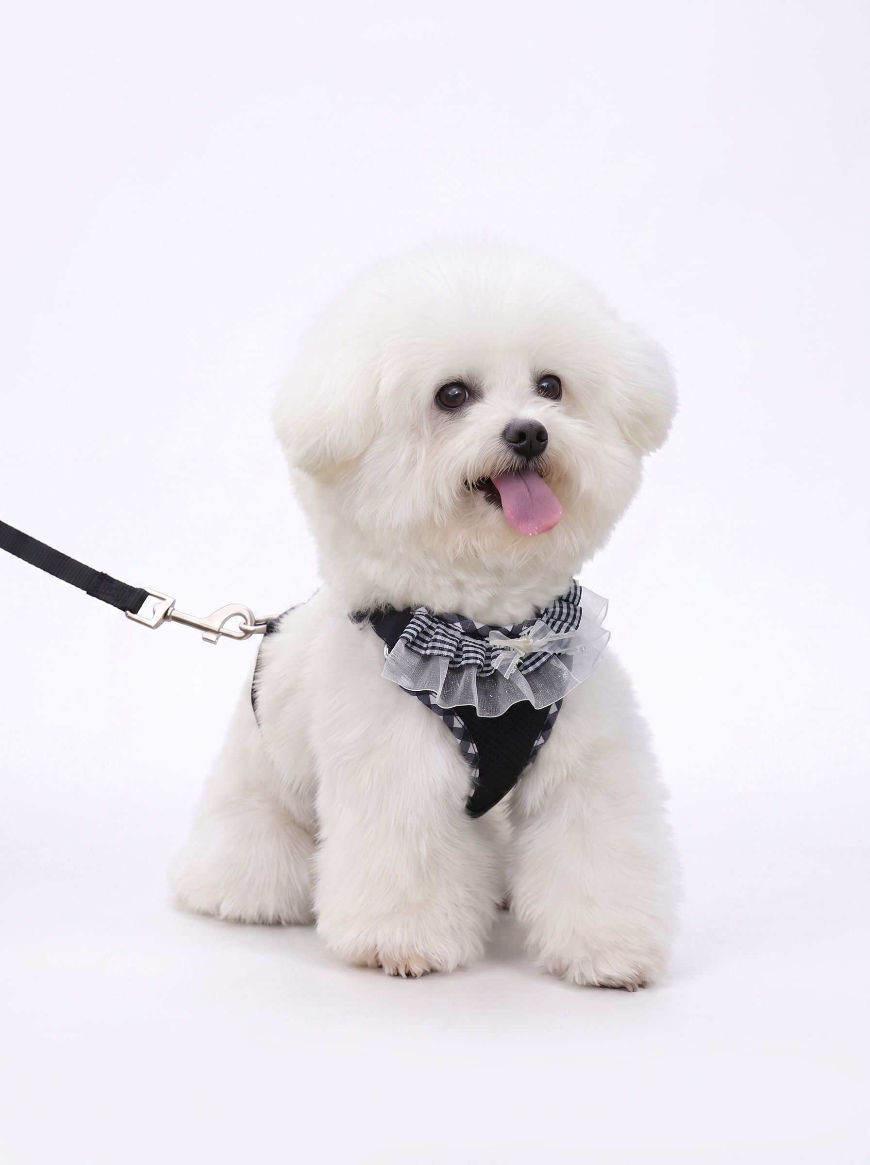 Cute Plaid Mesh Dog Harness & Leash Set - Breathable & Adjustable
