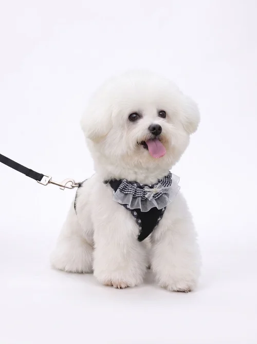 Cute Plaid Mesh Dog Harness & Leash Set - Breathable & Adjustable