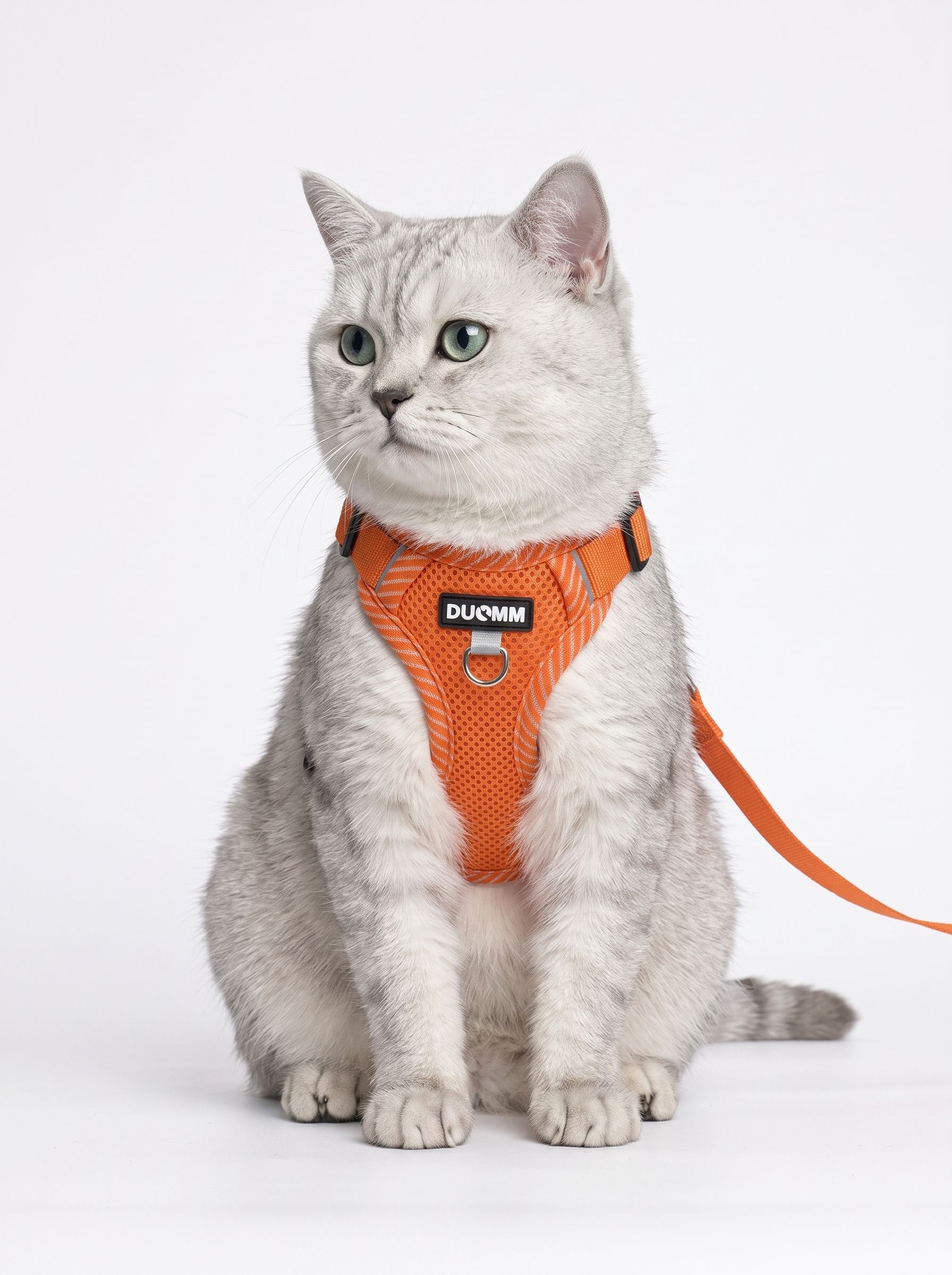 Breathable No-Pull Pet Harness & Leash Set for Dogs & Cats