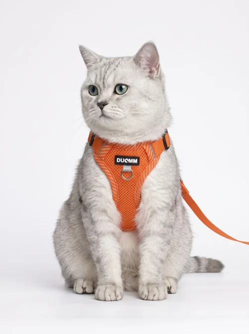 Breathable No-Pull Pet Harness & Leash Set for Dogs & Cats