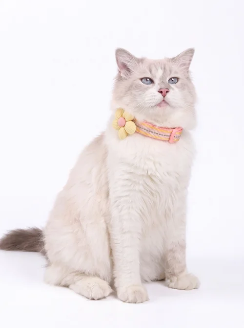 Reflective Flower Pet Collar with Engravable ID Tag for Pets
