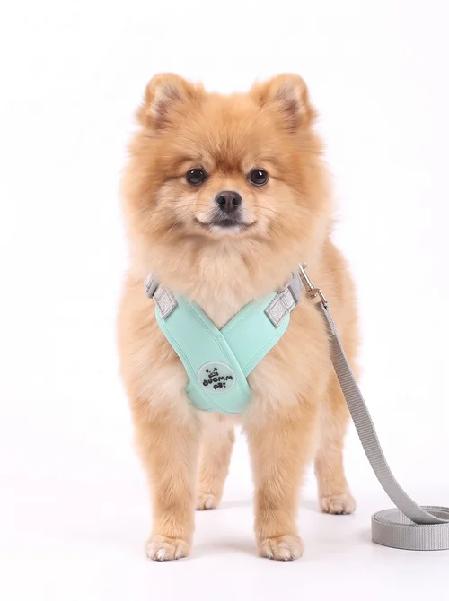 Comfort X-Back No-Pull Dog Harness & Leash Set - Reflective