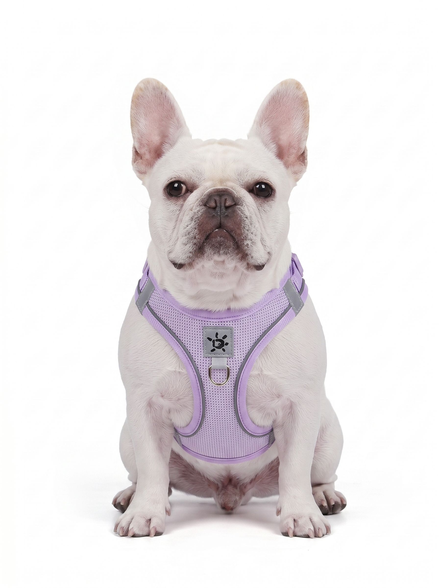Adjustable Reflective Pet Harness with DIY Patches