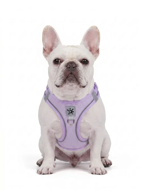 Adjustable Reflective Pet Harness with DIY Patches