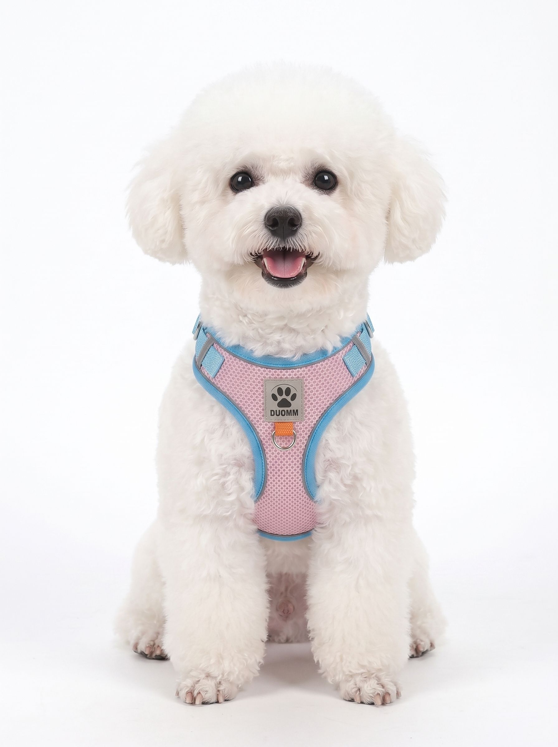 Breathable Mesh Pet Harness & Leash Set - Reflective Safety