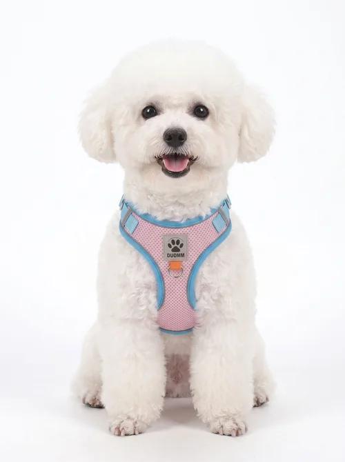 Breathable Mesh Pet Harness & Leash Set - Reflective Safety
