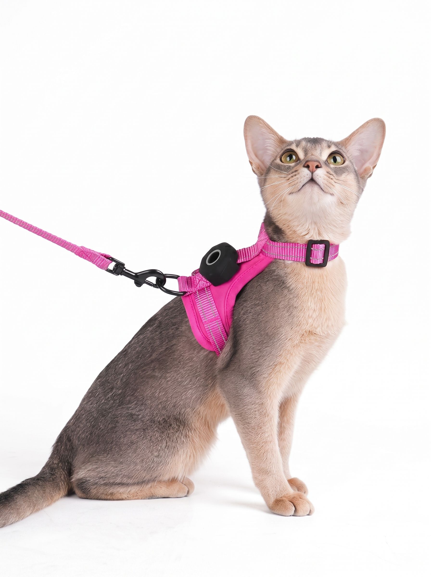 Anti-Escape Cat Harness & Leash Set with GPS Tracker Holder