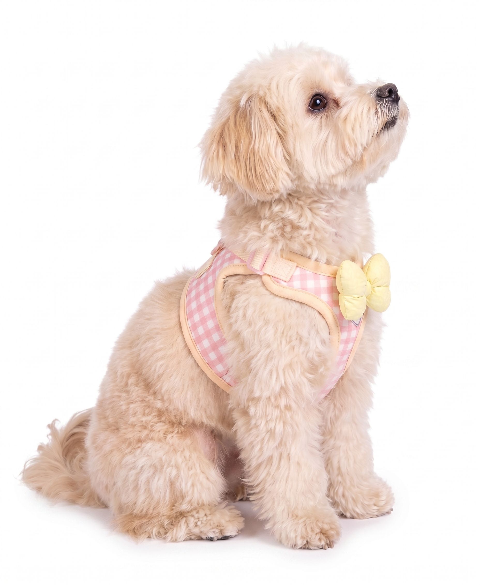Cute Gingham Pet Harness & Leash Set with Bow - Breathable