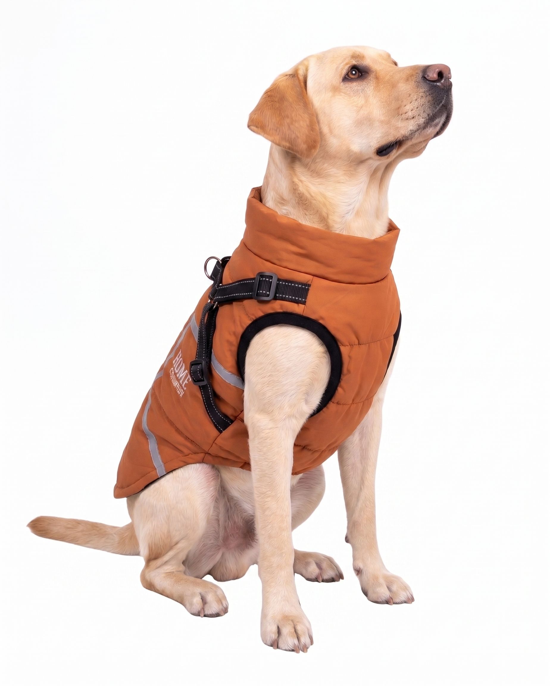Warm Winter Dog Coat with Built-in Harness & Reflective Trim