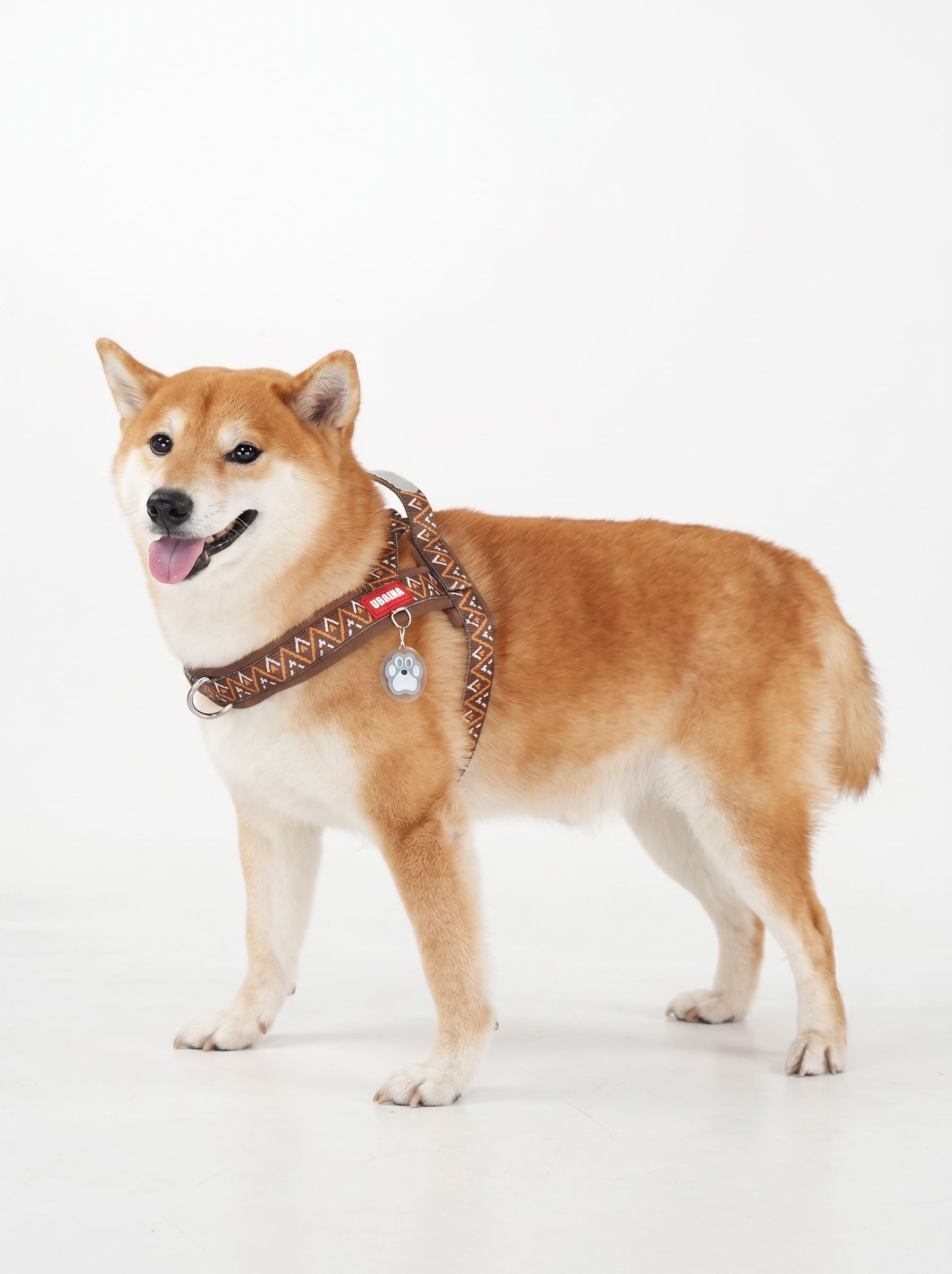 Adjustable Reflective No-Pull Dog Harness with Handle