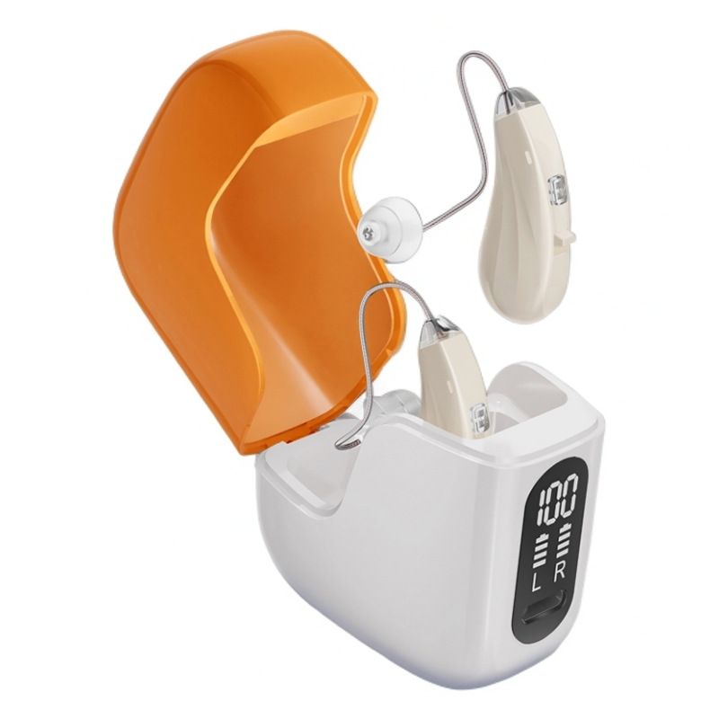GM-313(P2) RIC BTE Hearing Aid 16-Channel with Open Ear Design #26240024