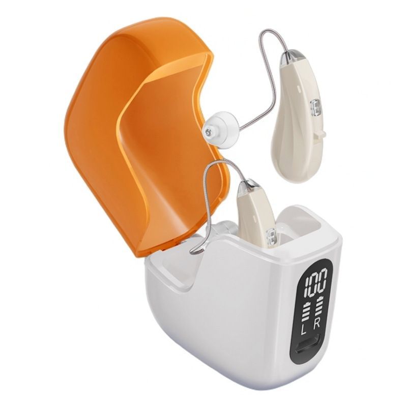 GM-313(P2) RIC BTE Hearing Aid 16-Channel with Open Ear Design #26240024