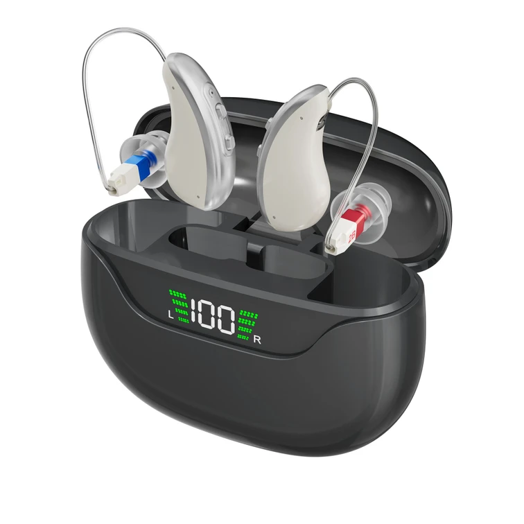 GM-323 P3 16-Channel UV Sterilizing Rechargeable Hearing Aids #26240003