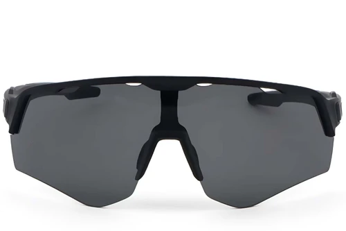 Irregular Black Plastic Sunglasses #BS1725-0052