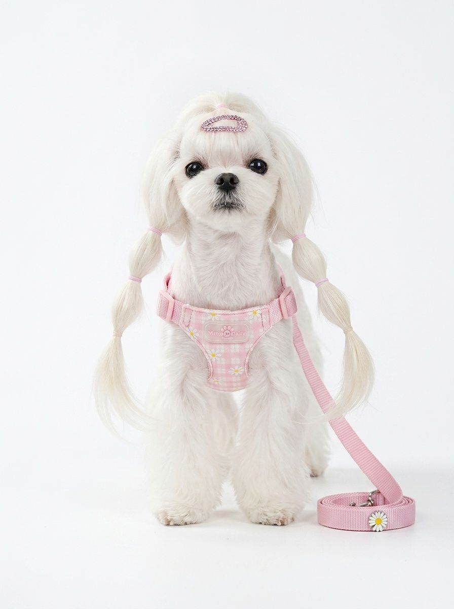 Daisy Plaid Pet Harness & Leash Set - Adjustable & Breathable