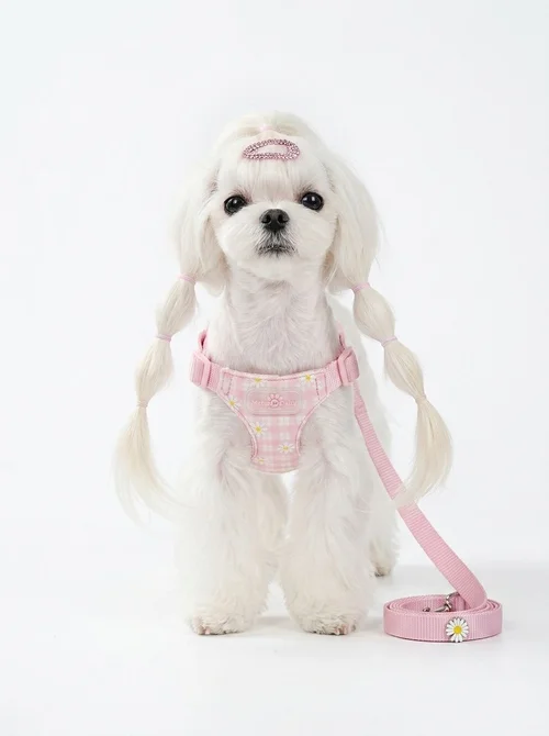Daisy Plaid Pet Harness & Leash Set - Adjustable & Breathable