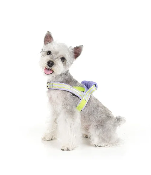 Comfort Padded Dog Harness & Leash Set - Adjustable & Reflective