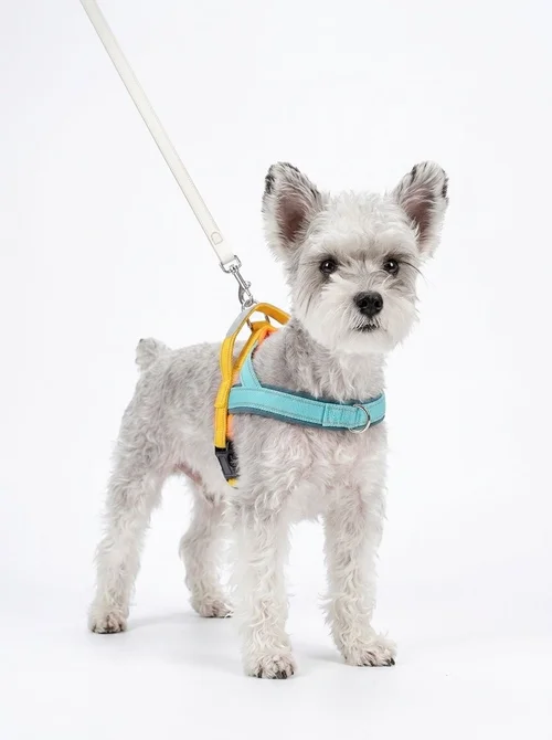 T-Style Anti-Pull Dog Harness - Lightweight Reflective Pet Vest