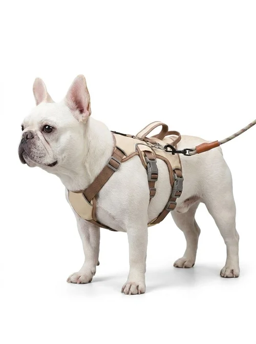 Adjustable No-Pull Dog Harness with Handle & Reflective Trim