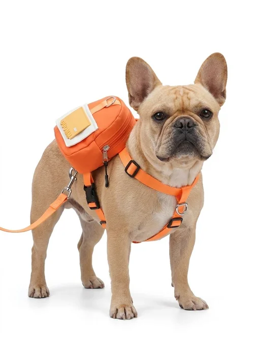 Pet Harness Backpack with Leash - Dog Walking Vest Bag