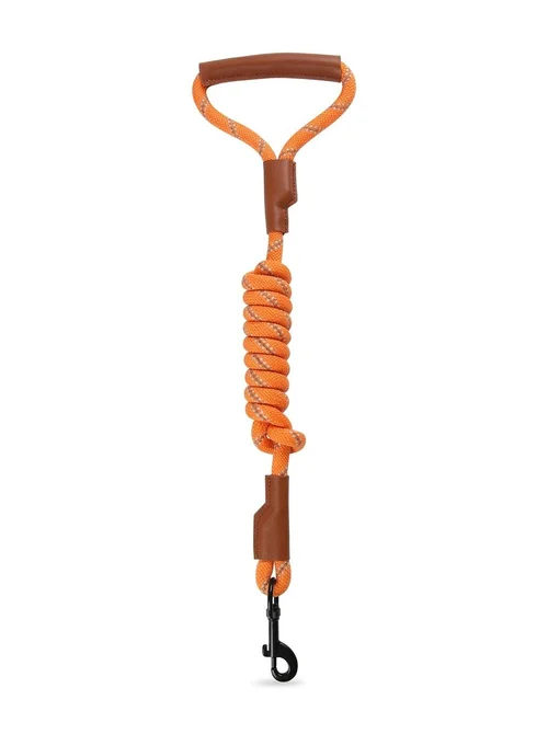 Durable Reflective Dog Leash with Comfortable Leather Handle