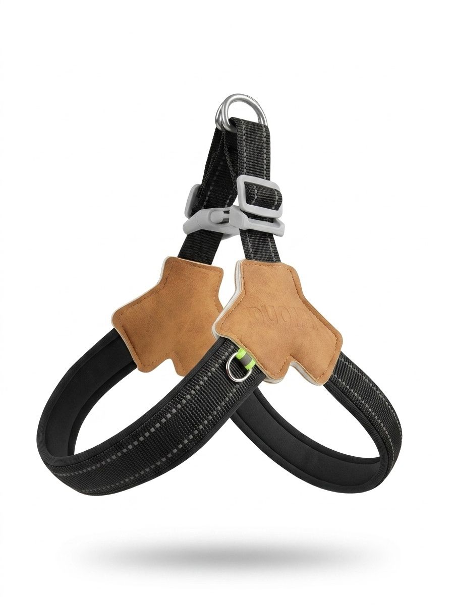 Comfort Y-Shape Reflective Dog Harness & Leash Set for Walking