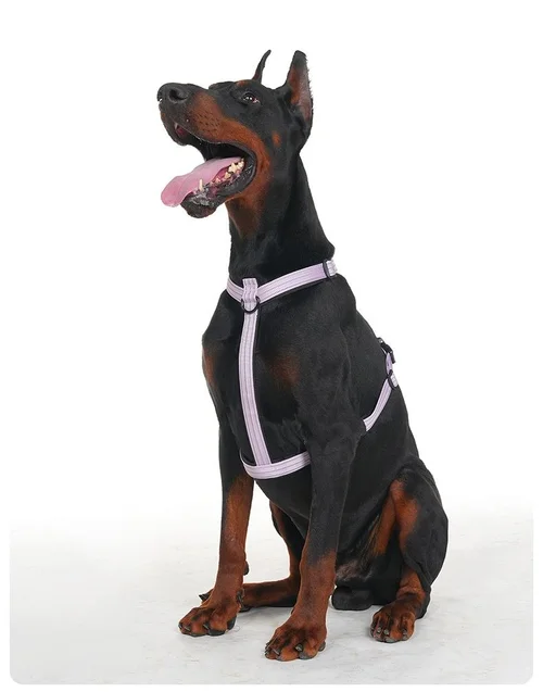 Reflective No-Pull Dog Harness - Adjustable & Comfortable