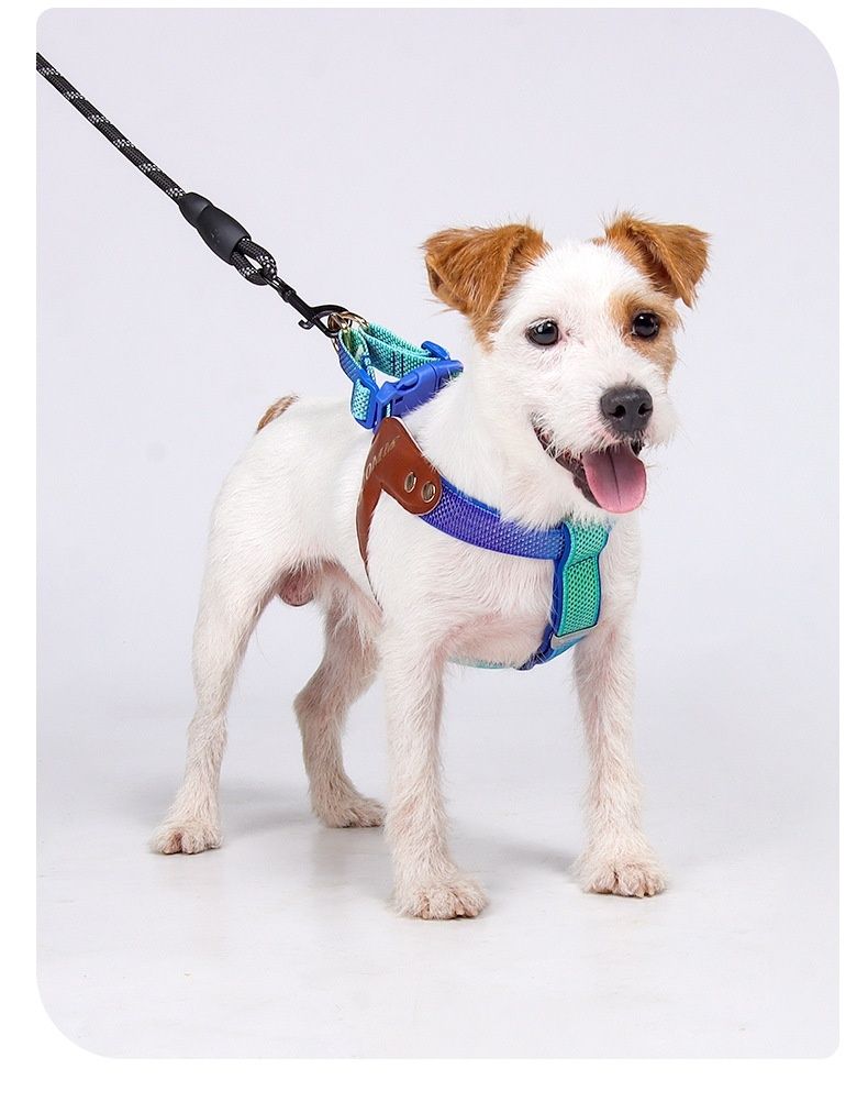 Reflective Y-Shape Dog Harness - Adjustable & No-Pull Comfort
