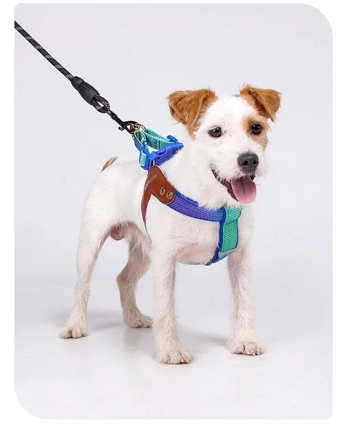 Reflective Y-Shape Dog Harness - Adjustable & No-Pull Comfort