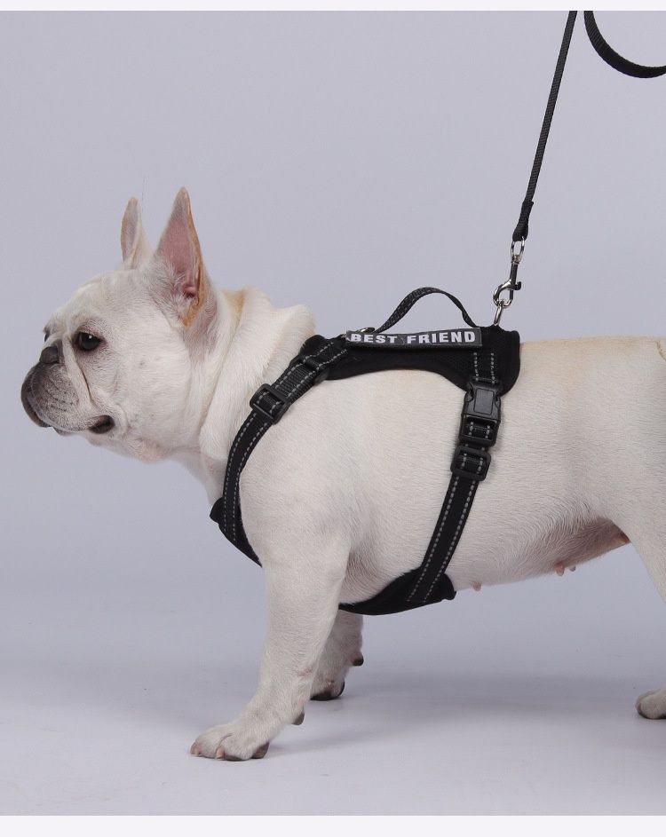 Lightweight Reflective Dog Harness & Leash Set - Breathable Mesh