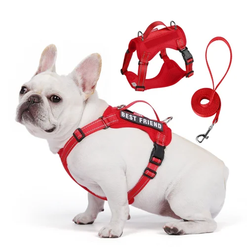 Harnais et laisse réfléchissants légers pour chien - Maille respirante