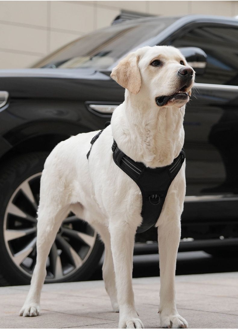 Adjustable No-Pull Dog Harness for Car Safety & Walking