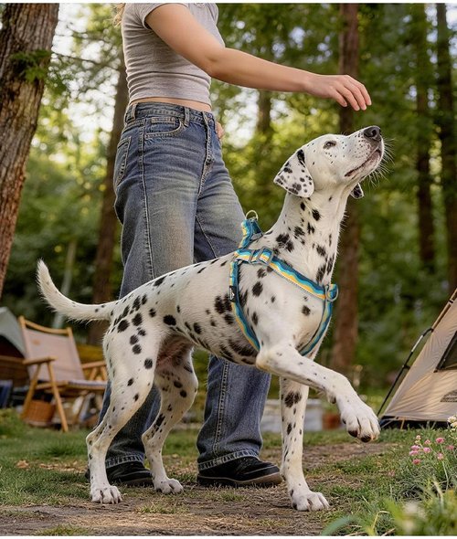 Dog Harness - Adjustable, Reflective, Anti-Escape Design