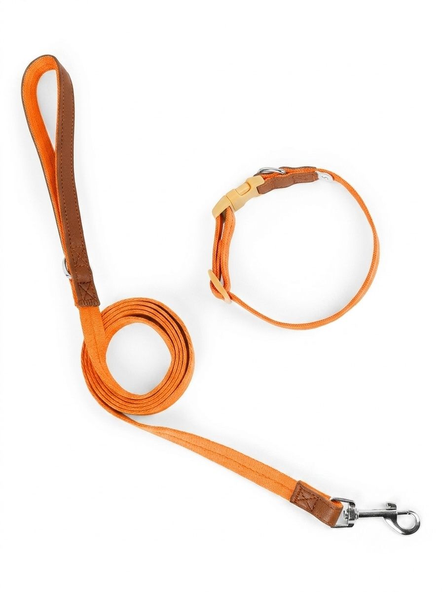Lightweight Adjustable Pet Collar & Leash Set - Durable