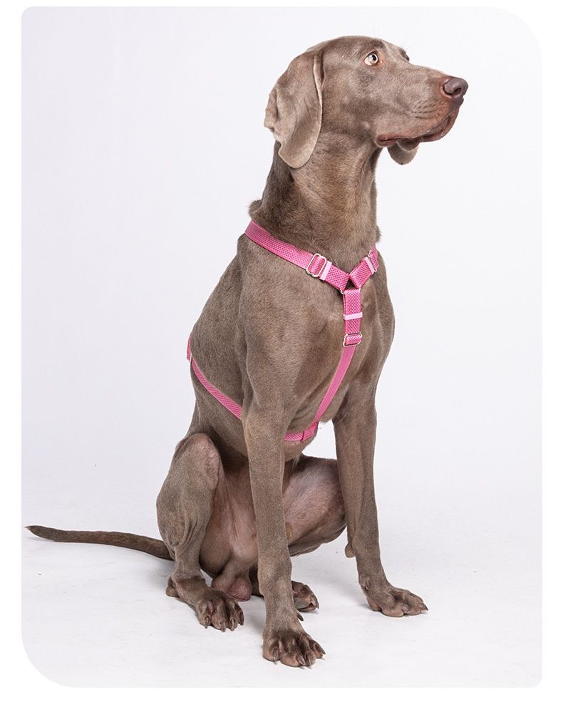 Comfort Fit Reflective Dog Harness - Adjustable No-Pull Design