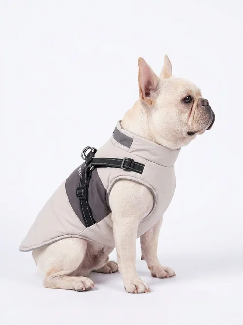 Warm Waterproof Dog Vest Harness for Winter Walks & Training