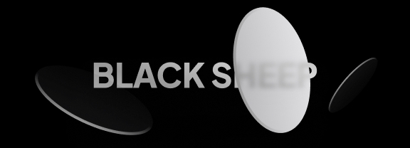 Oval Grey Plastic Sunglasses #BS2503-0101