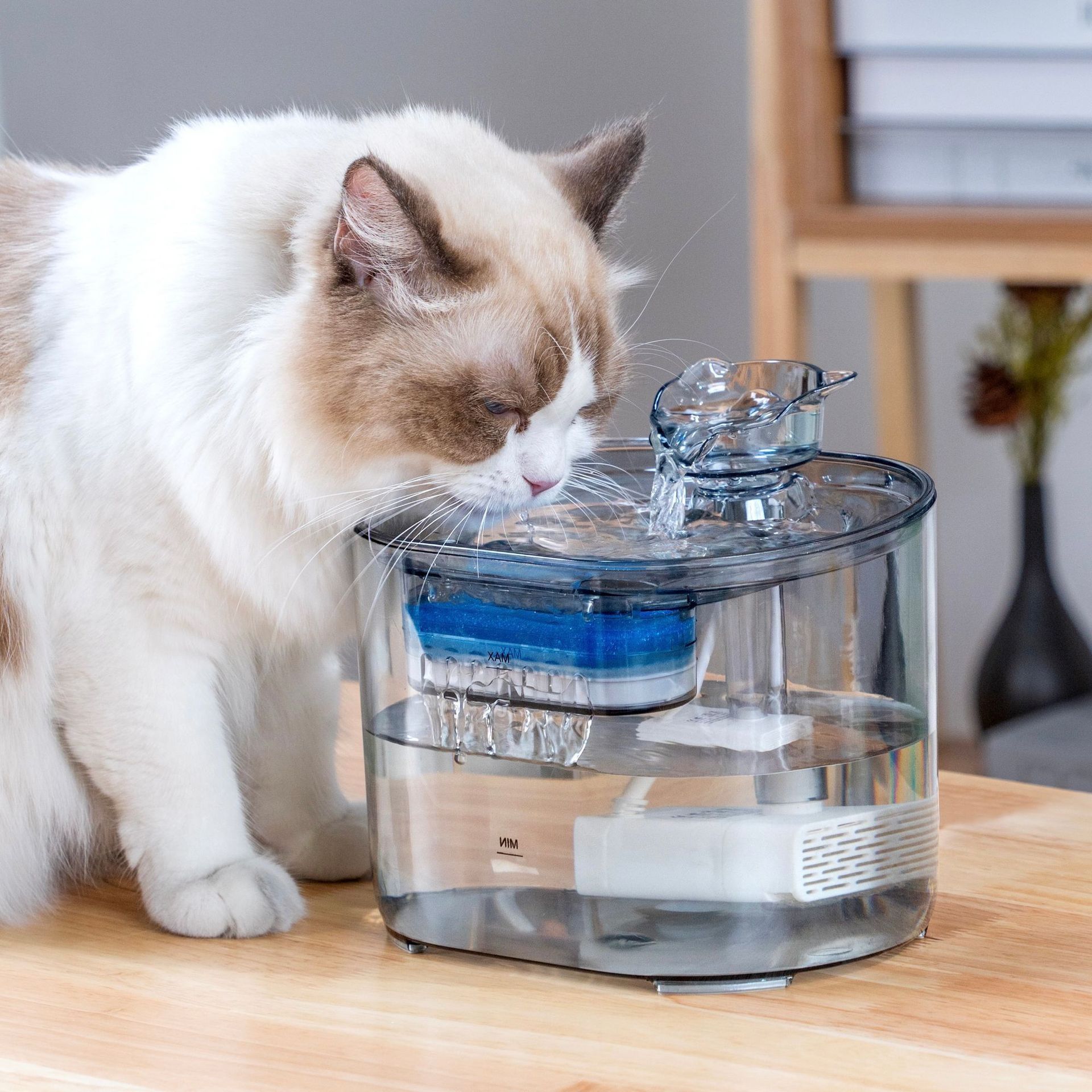 Automatic Pet Water Fountain for Cats & Small Dogs - 2.2L - Model#FT666 Transparent Grey - Water Outlet - Cat Head Design